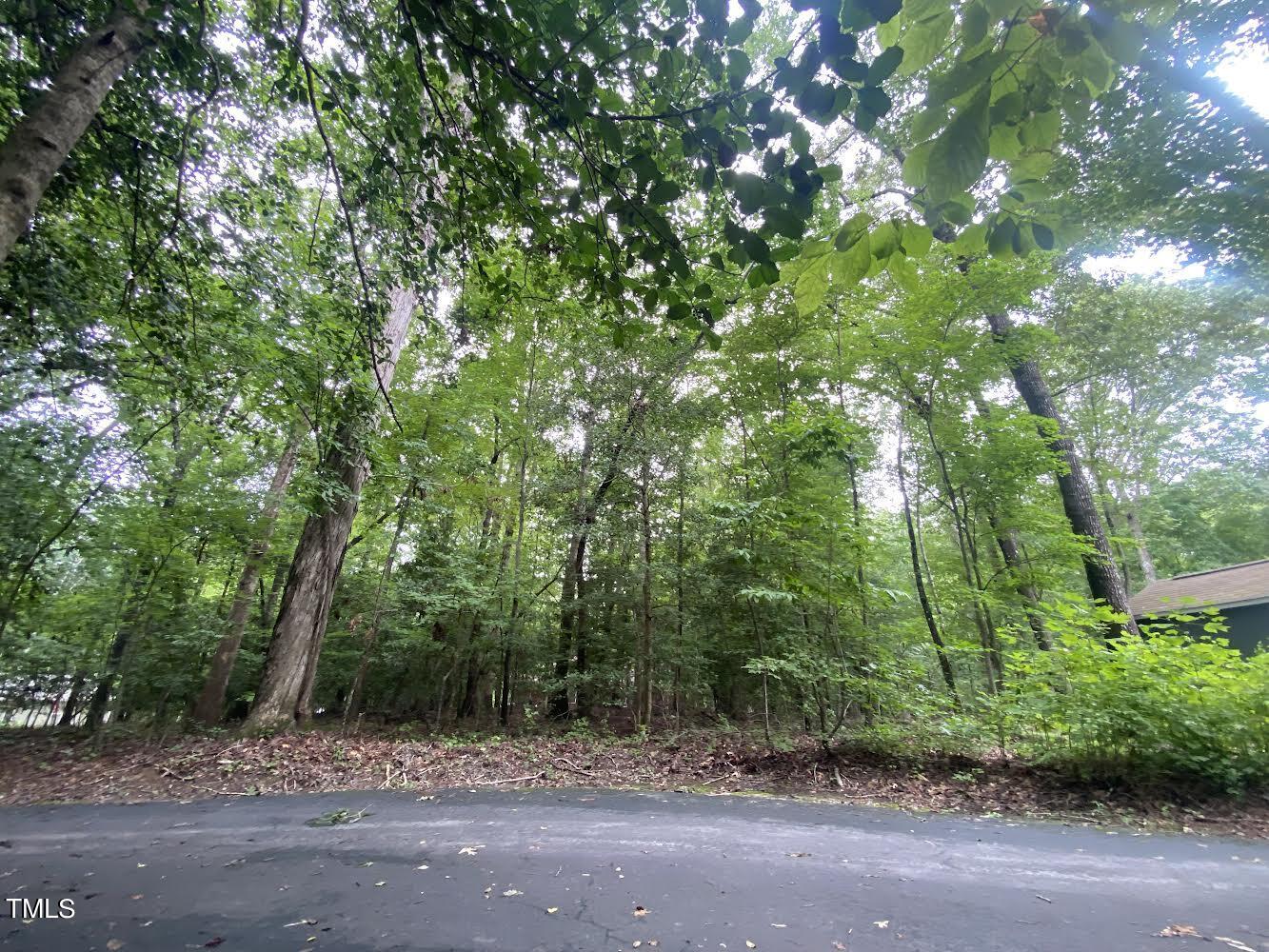 a view of a field with trees in the background