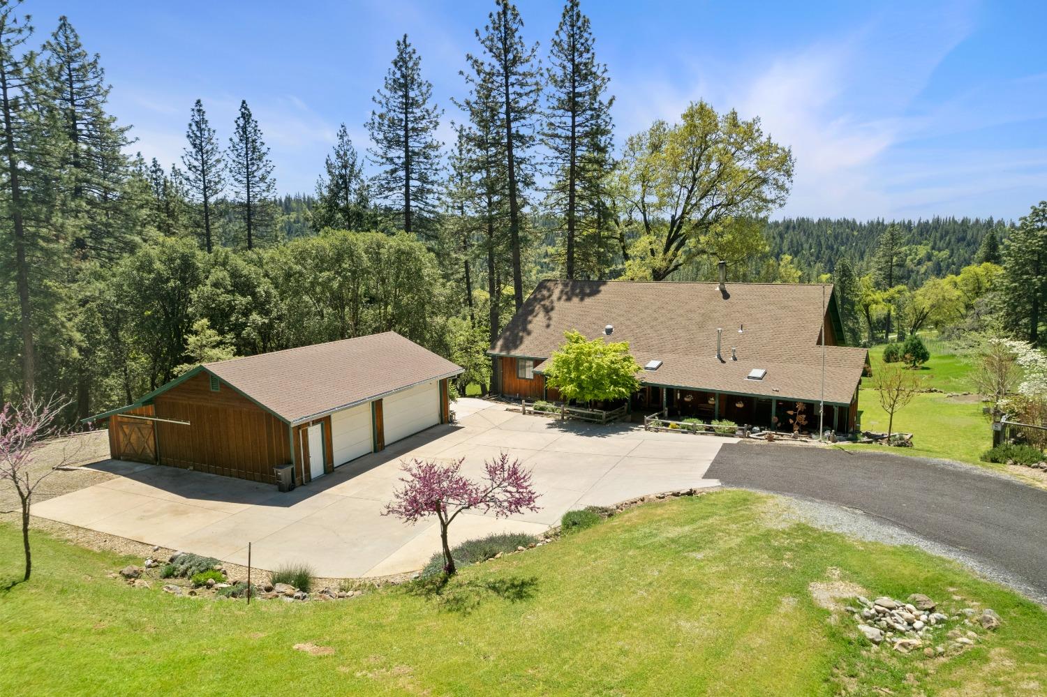 an aerial view of a house with swimming pool and large trees