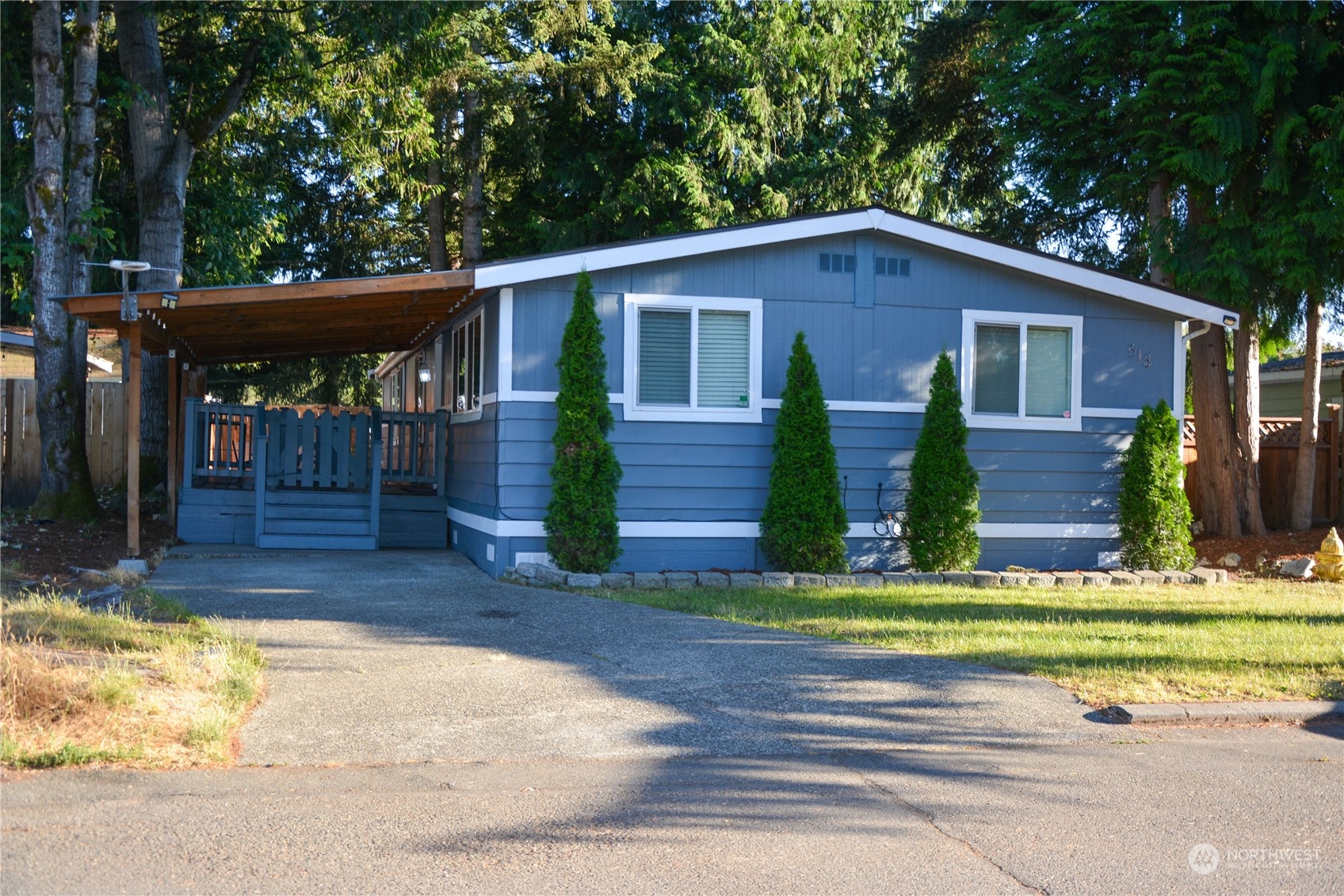 a view of a house with a yard plants and large tree