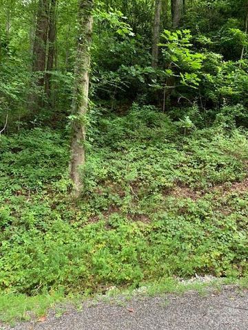 $9,900 | Lot 45-46 Mckenzie Way South, Unit 4546 | Crooked Creek Township - McDowell County