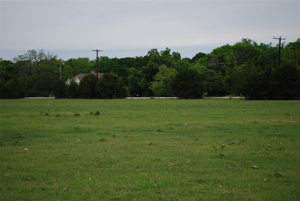 a view of a field with trees in background