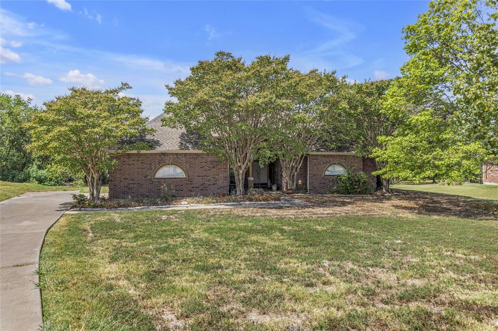 a view of a trees in front of a house with a yard