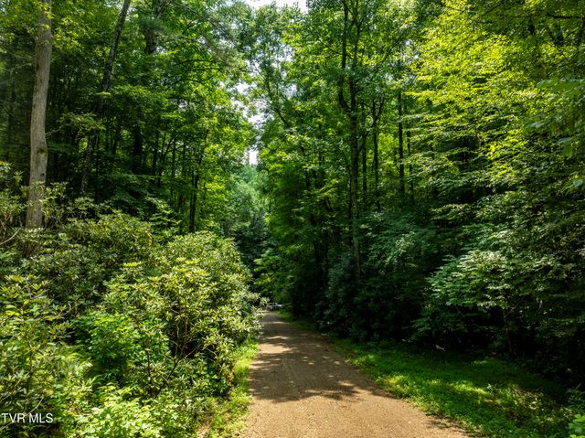 $200,000 | Tbd Gate Hollow Private Road