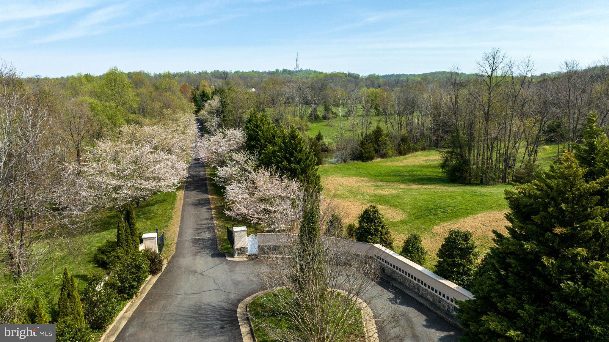 a view of a back yard