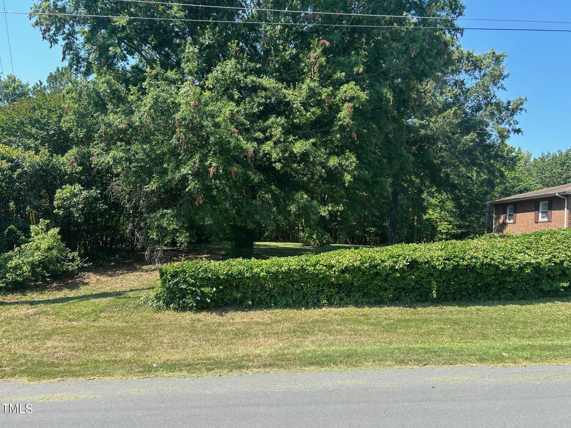 a view of a backyard with plants and lake view