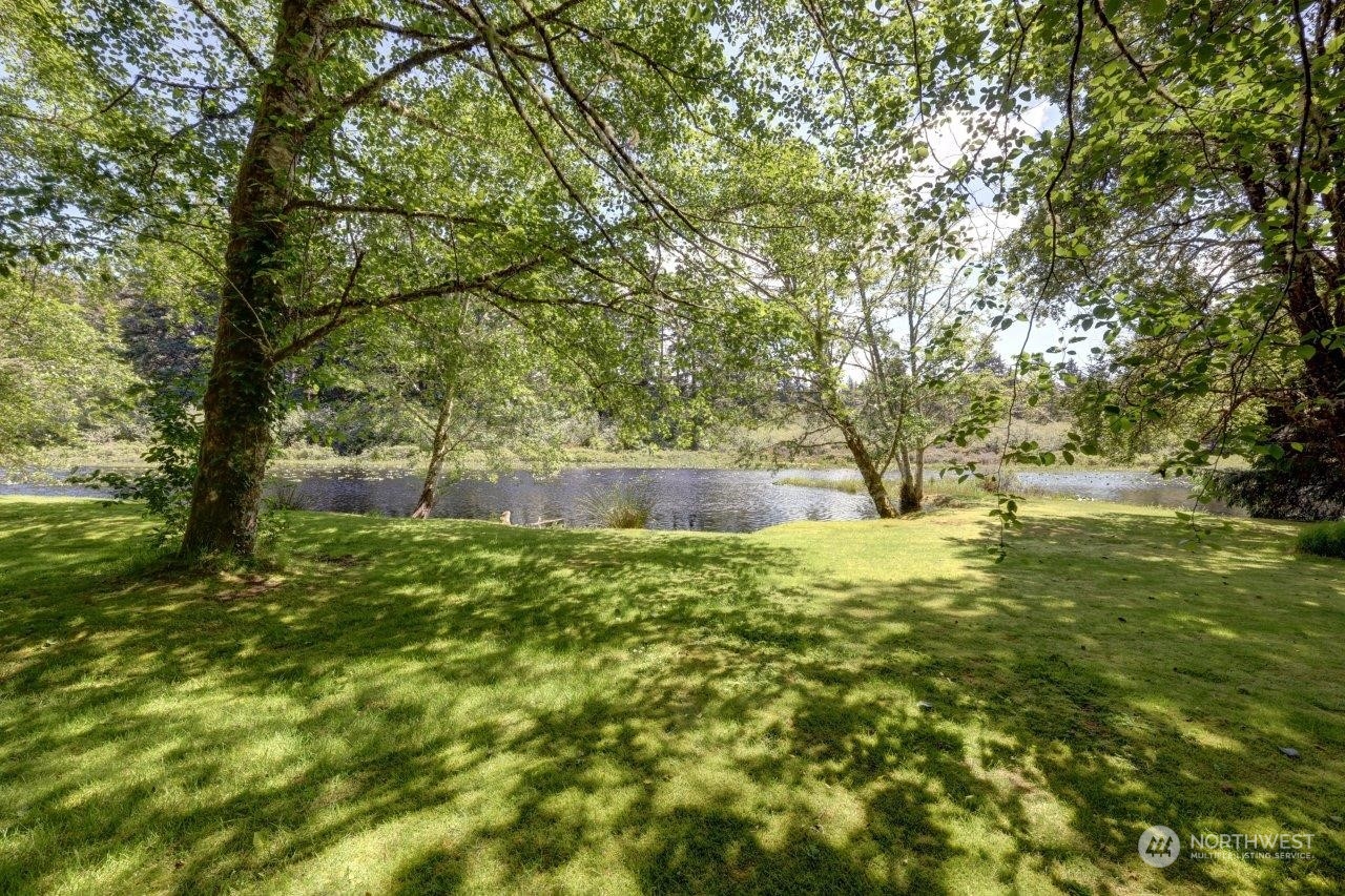 a backyard of a house with lots of plants and large trees