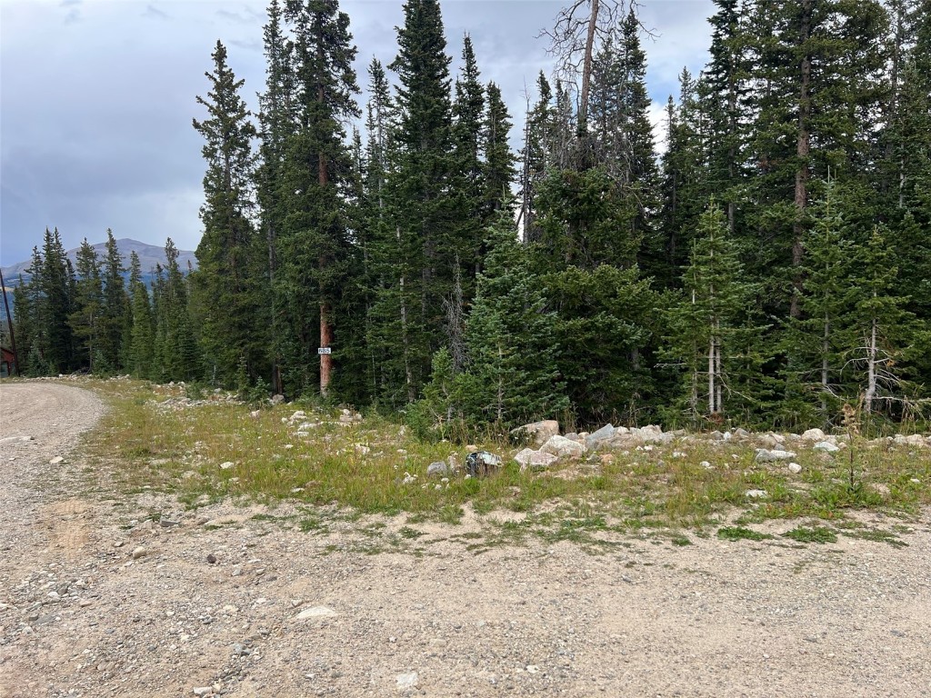 a view of a yard with trees