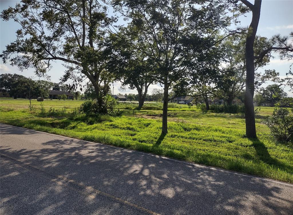 a view of a park with large trees