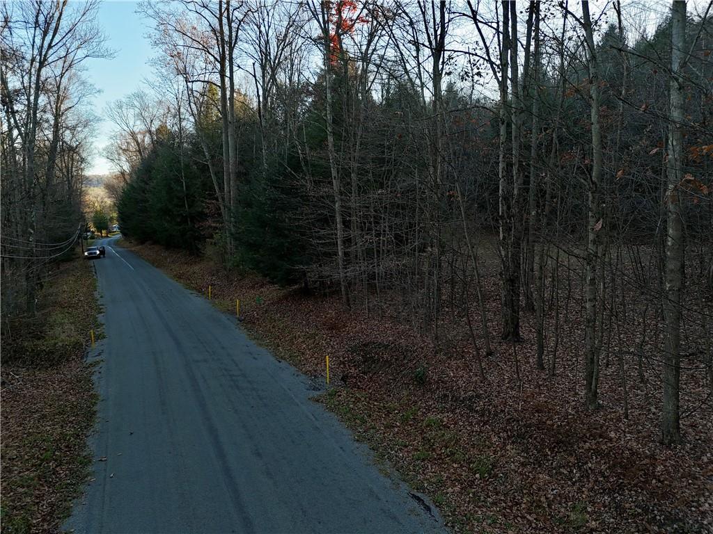 a view of a pathway with a yard