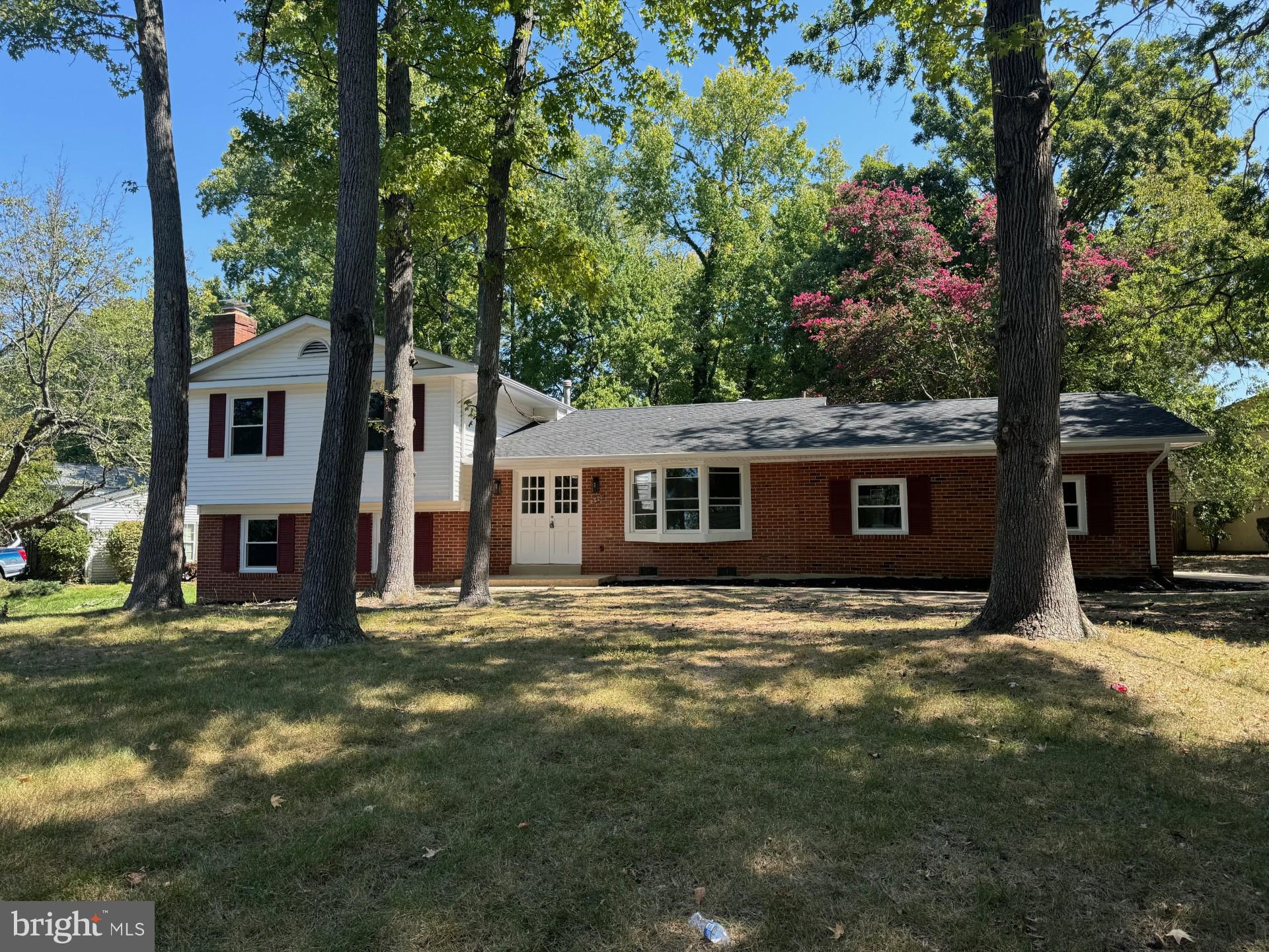 a view of a yard in front of a house with large tree