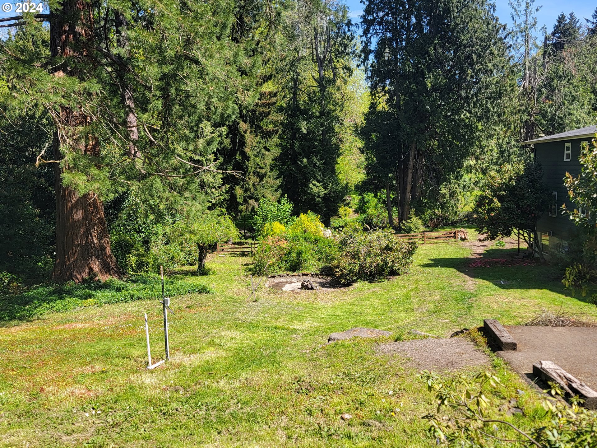 a view of a trees with yard