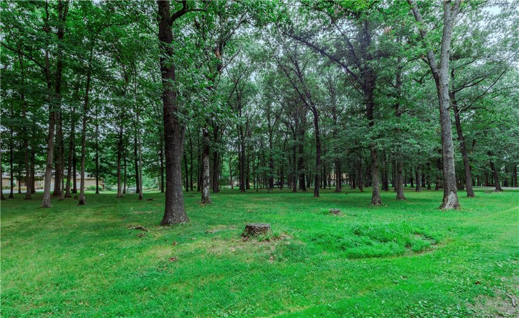 a view of a trees in a park