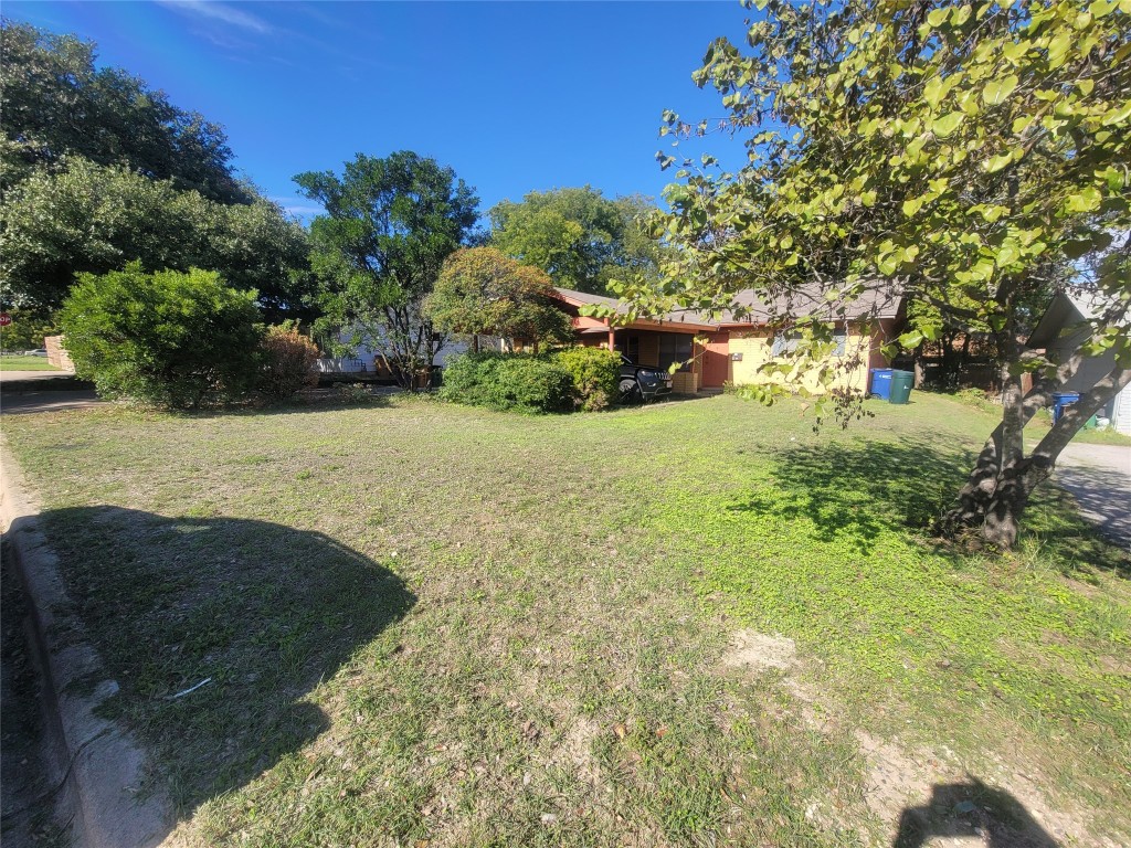 a view of yard with large tree