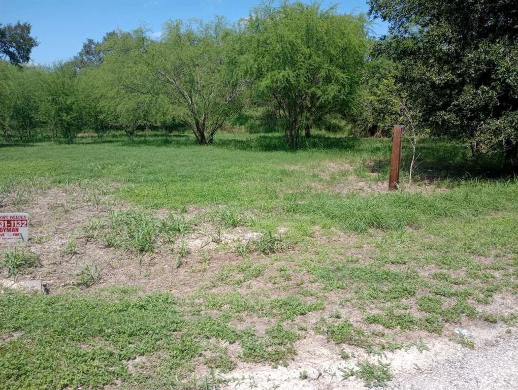 a view of a green field with trees in the background