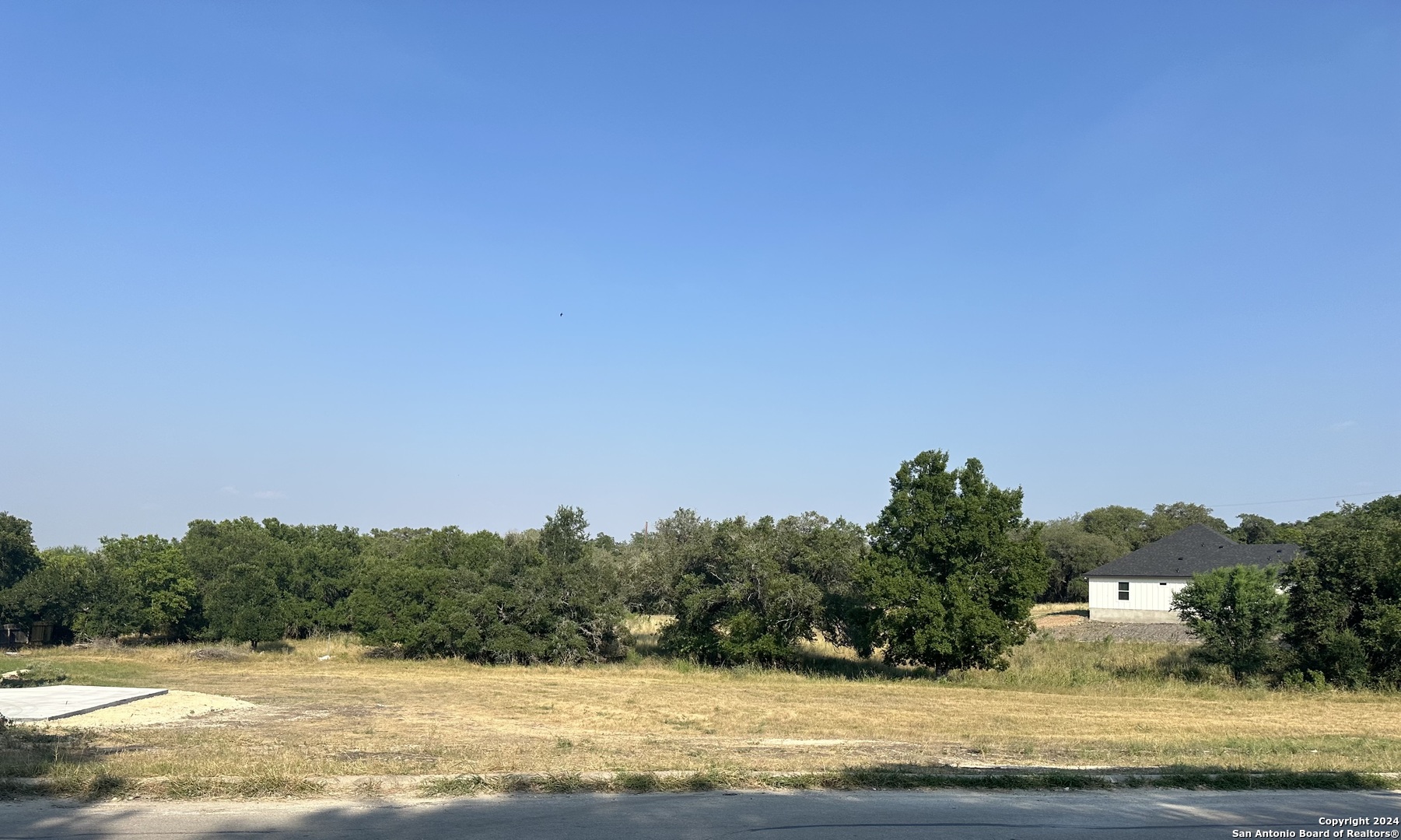 a view of a yard with an trees