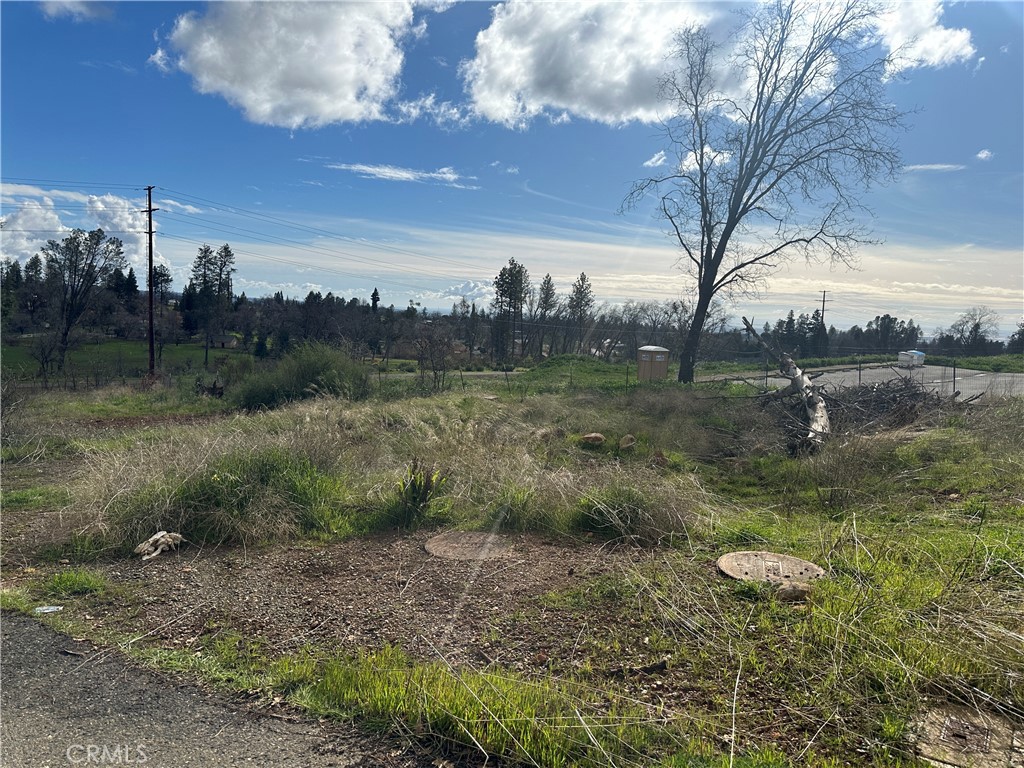 a view of a field with trees around