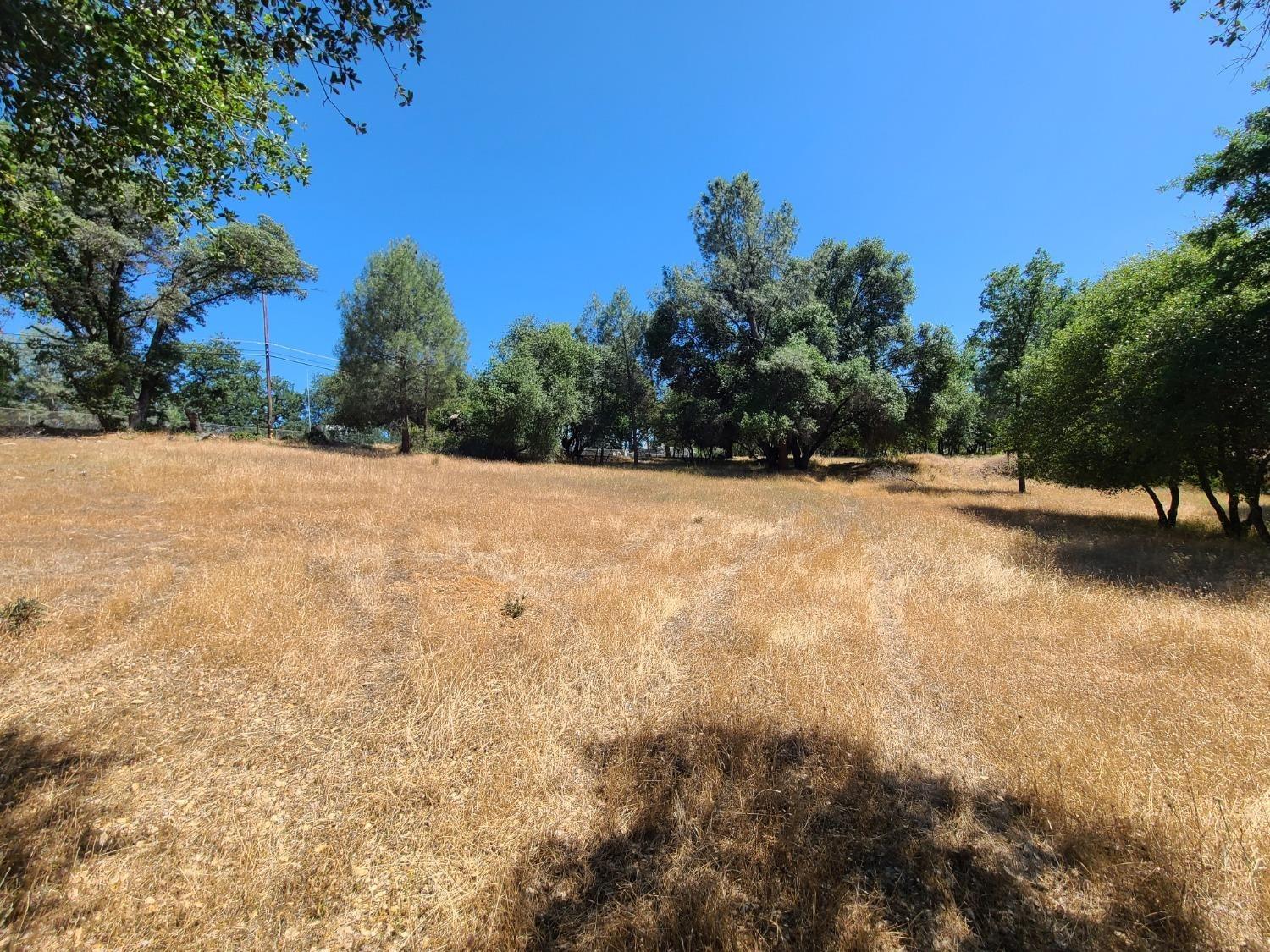 a view of empty and green space