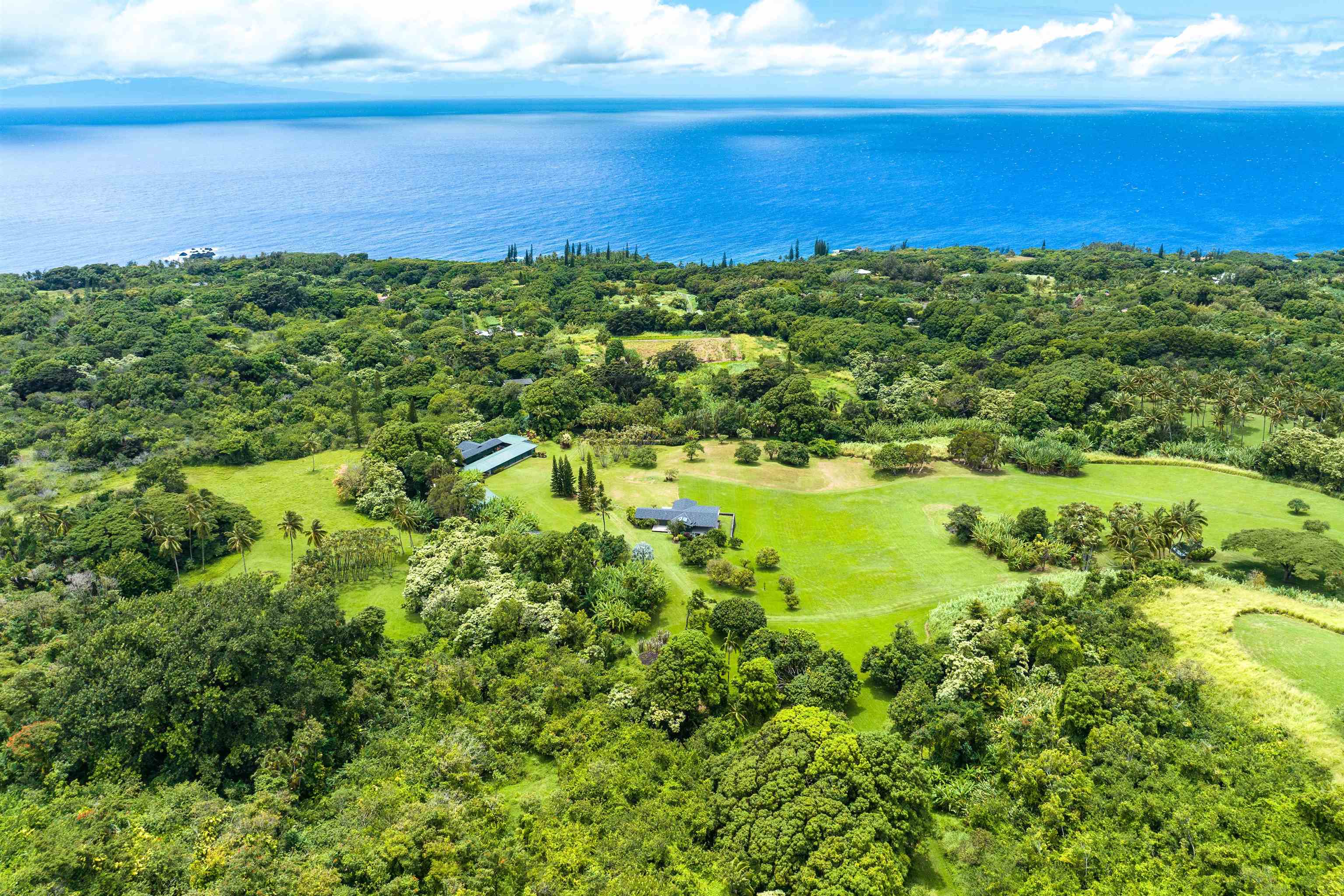 a view of yard with ocean view