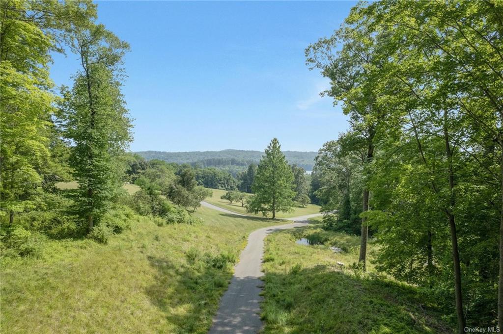 a view of outdoor space and trees all around