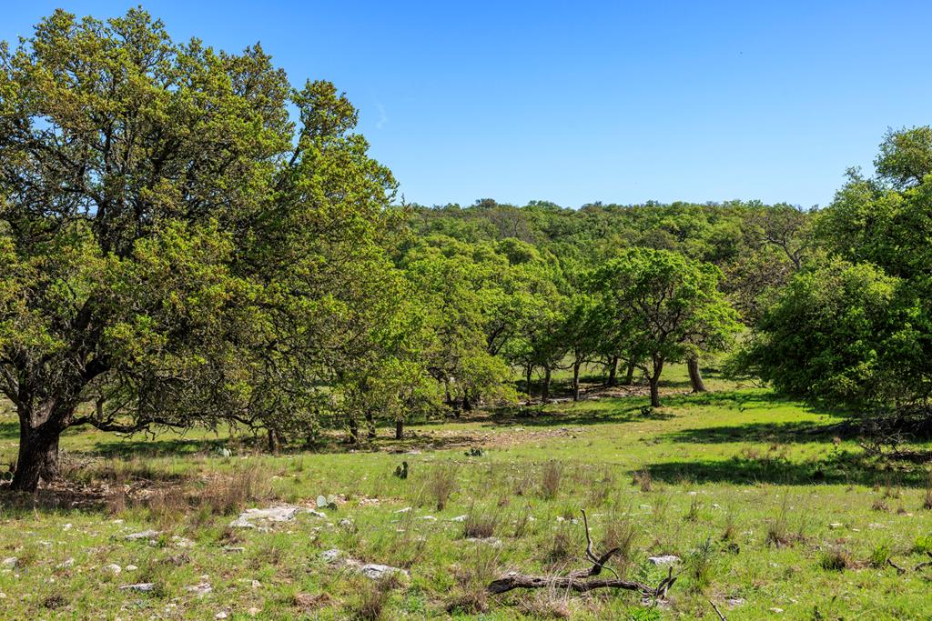 a view of a golf course