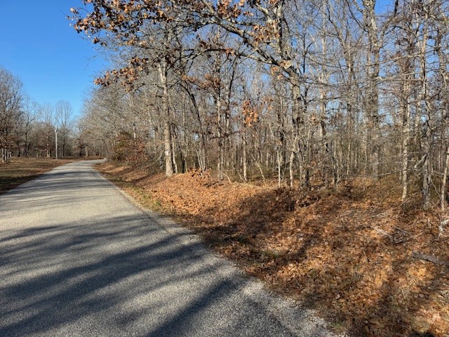 a view of empty space with green space