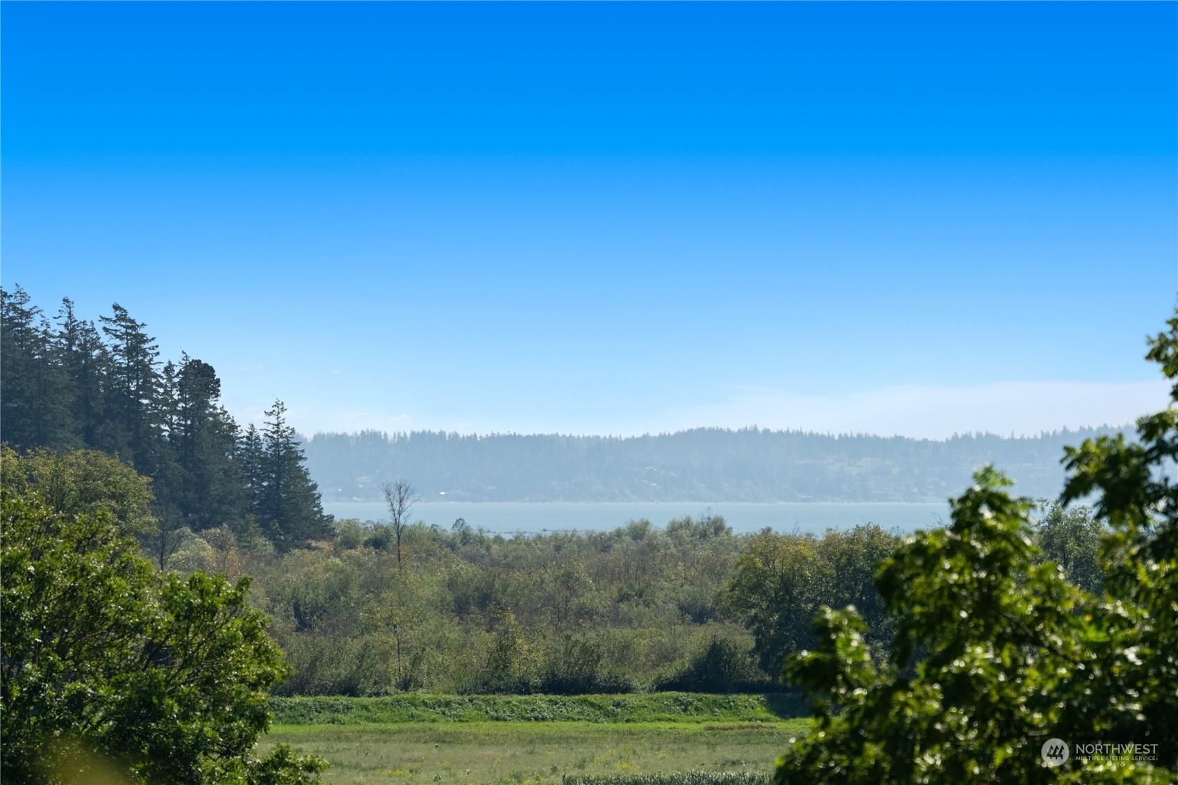 a view of a grassy field with trees in the background