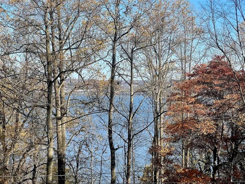 a view of trees with sky view