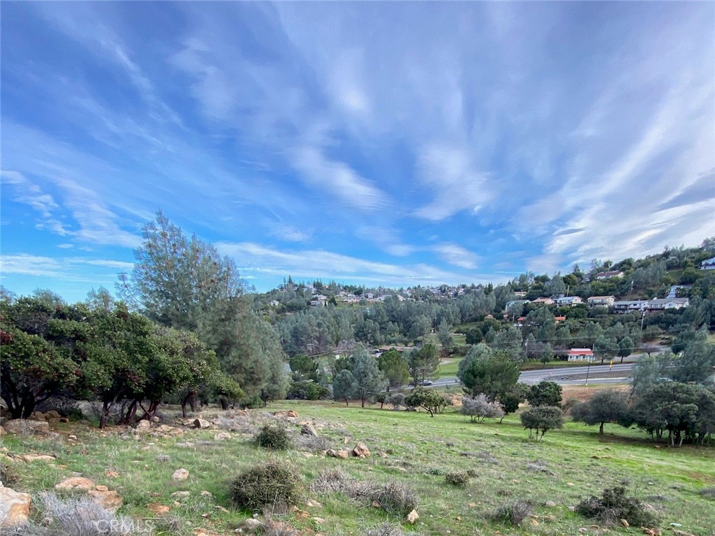 a view of a grassy field with trees