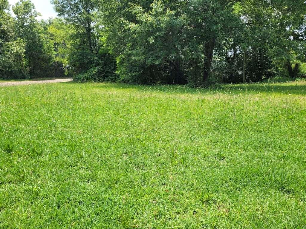 a view of field with trees in the background