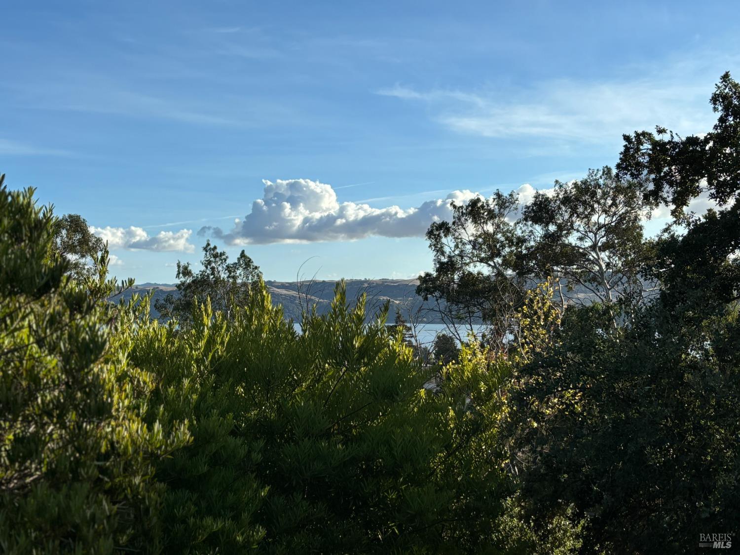 a view of a lake