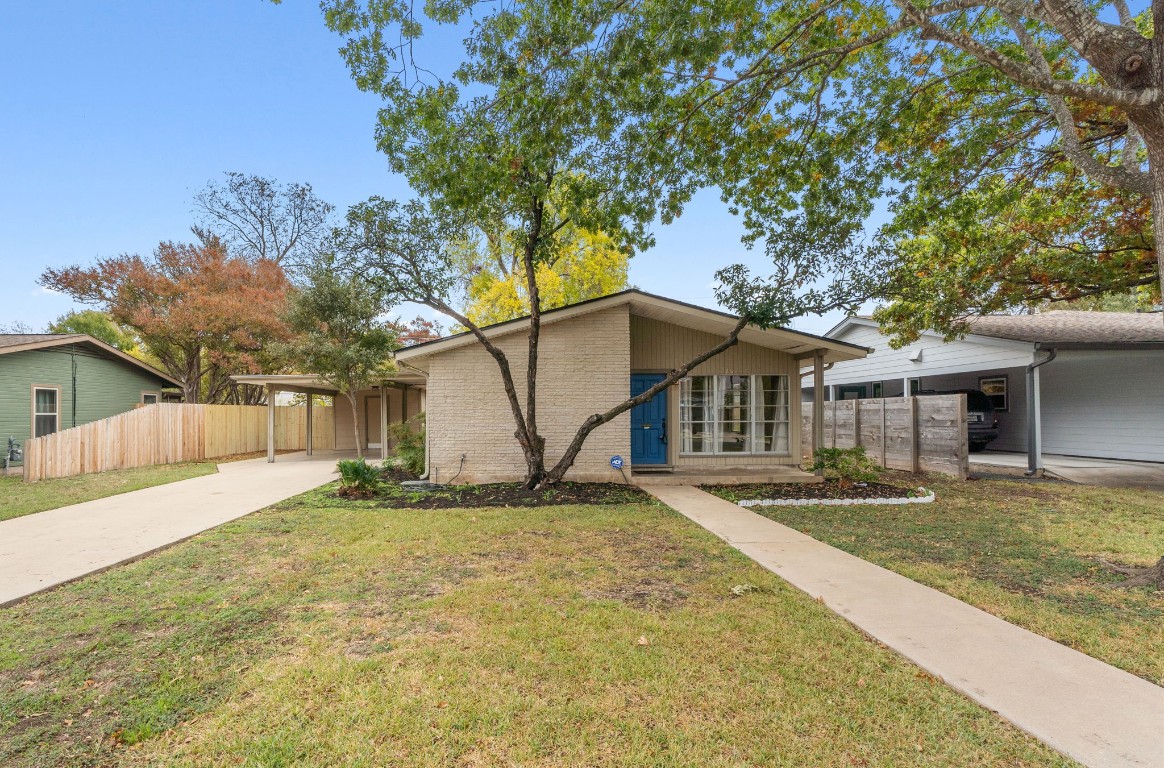 a house that has a tree in front of it