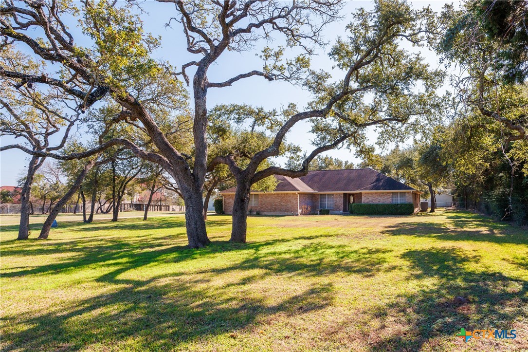 a view of a yard with a tree