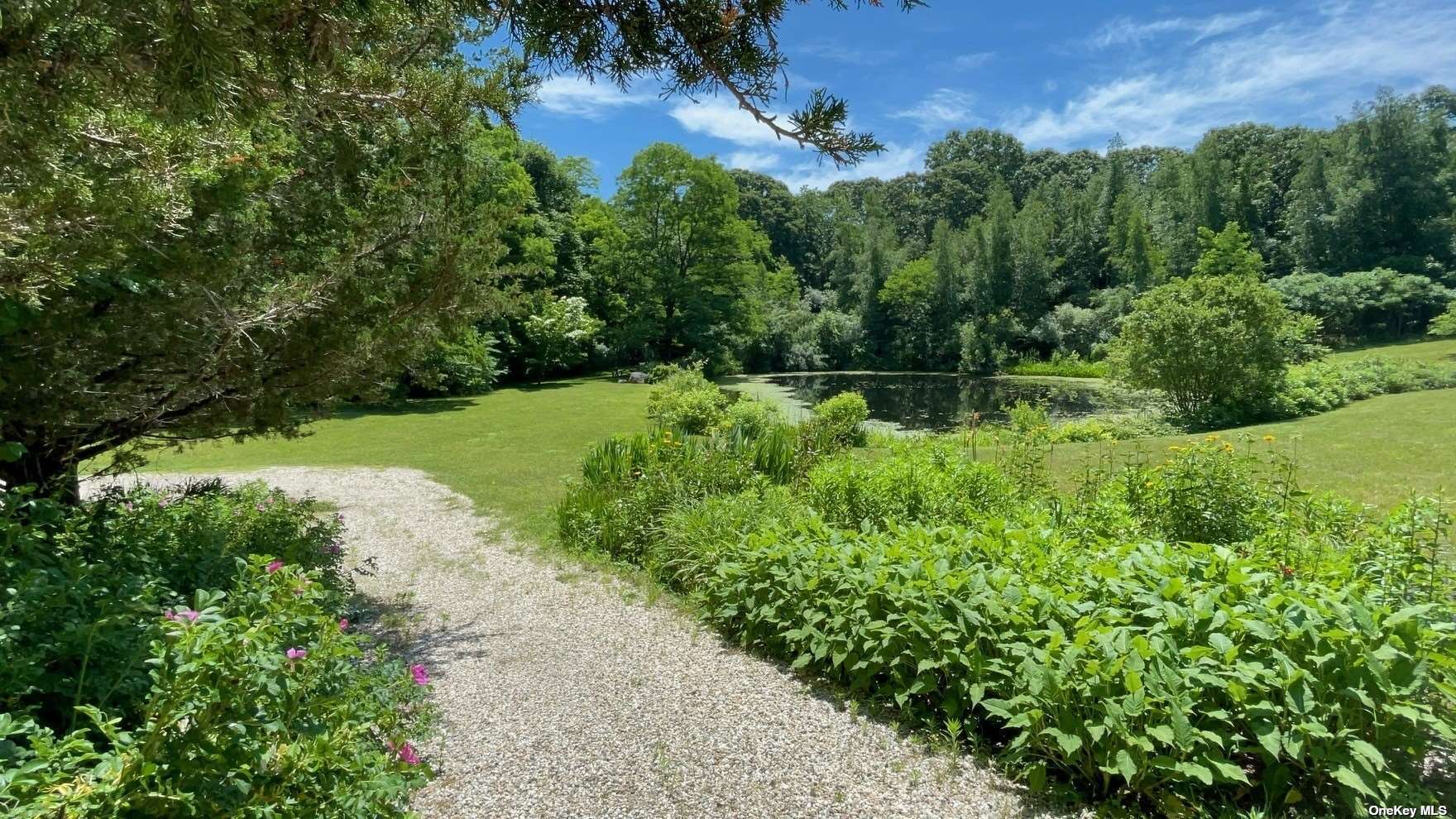 a view of a garden with a tree