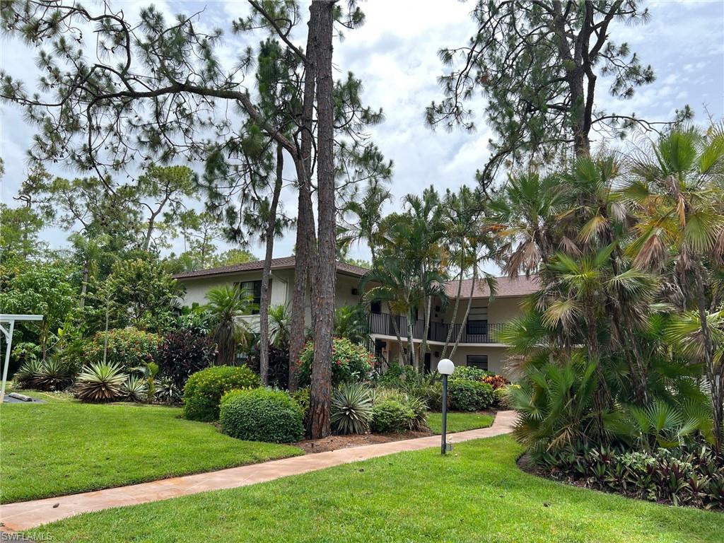 a view of a garden with a tree