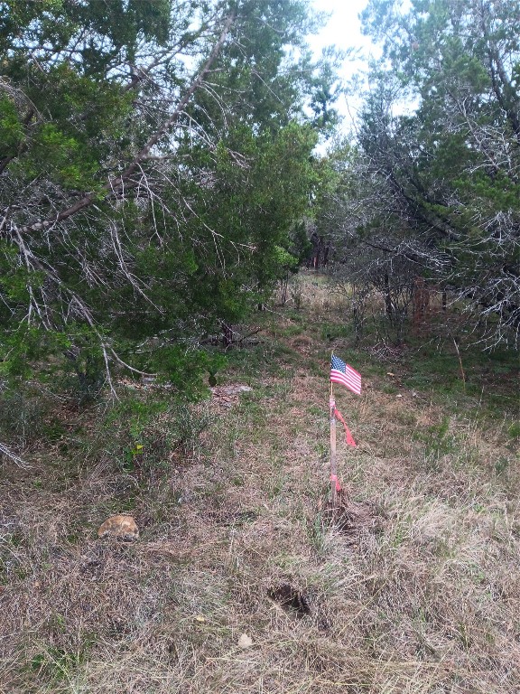 a flag is sitting in the middle of forest