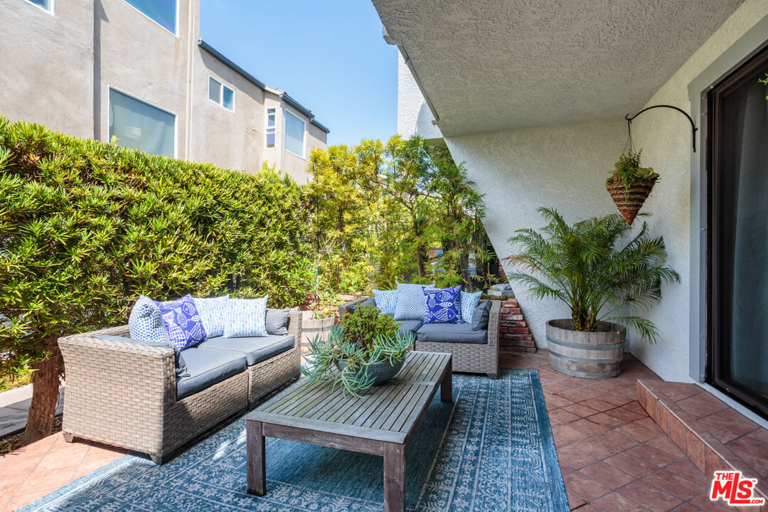 a view of a patio with couches and a potted plant