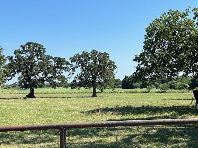 a view of a park with a tree in the background