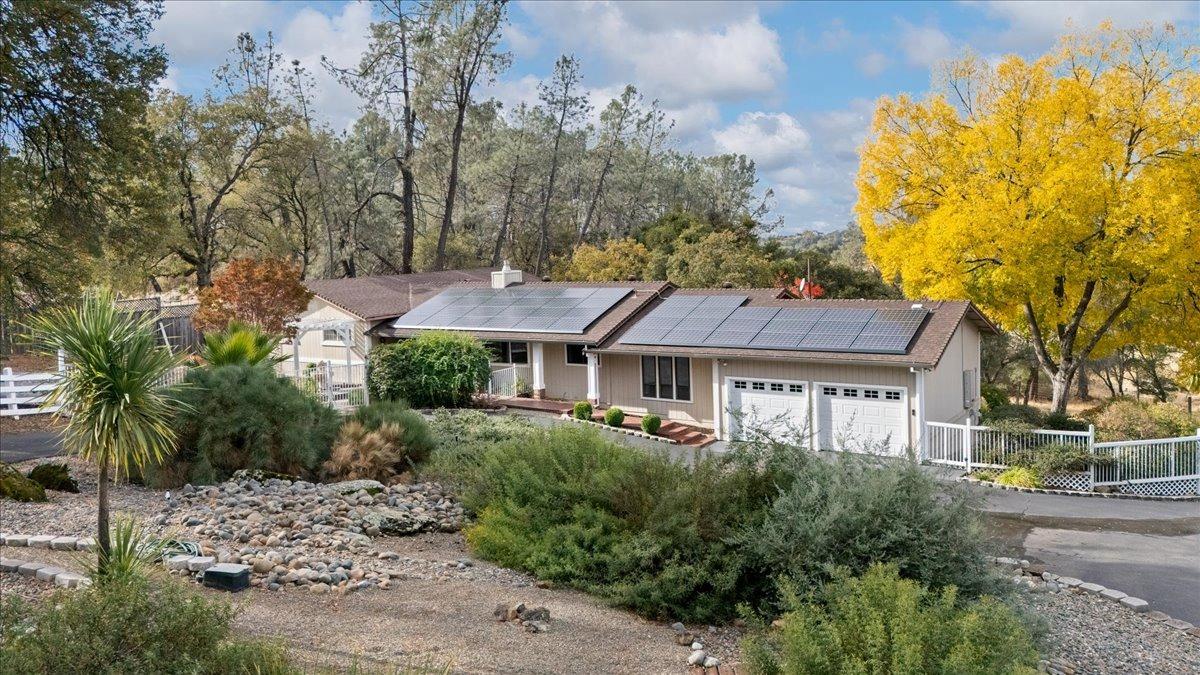 a house that has a tree in it