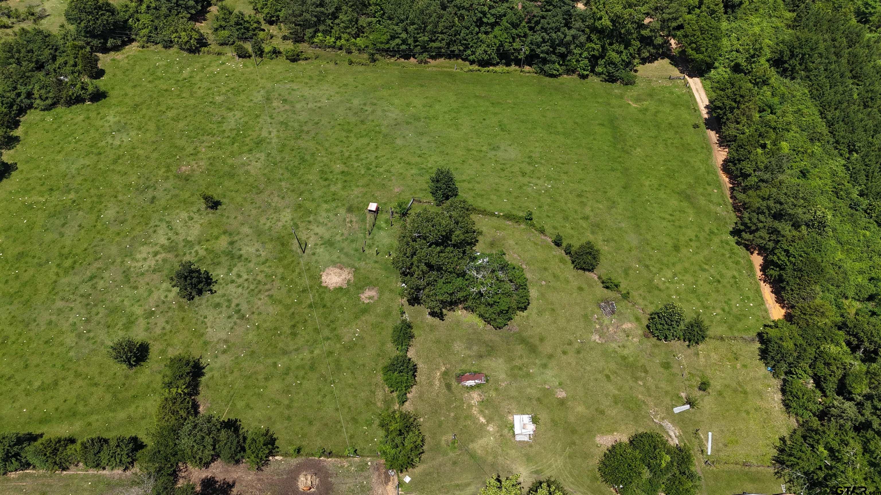 a view of a garden