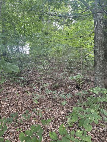 $59,900 | 0 Hwy 52 Bypass West