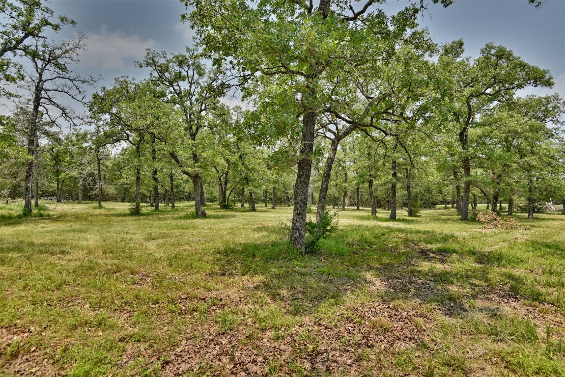 a view of outdoor space with trees all around