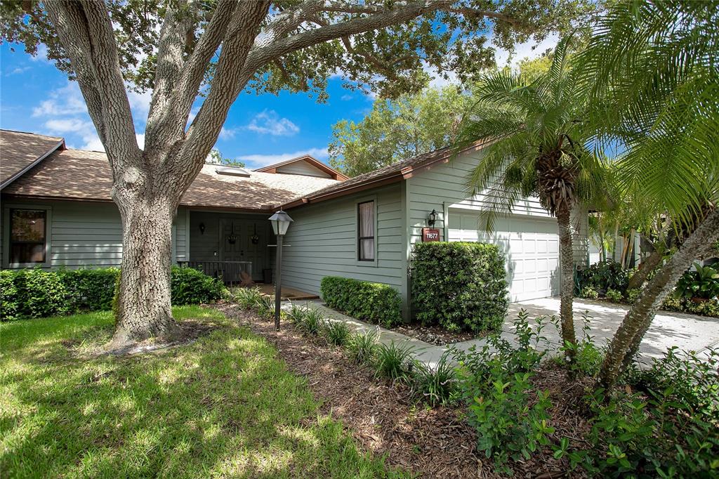 a backyard of a house with plants and large tree