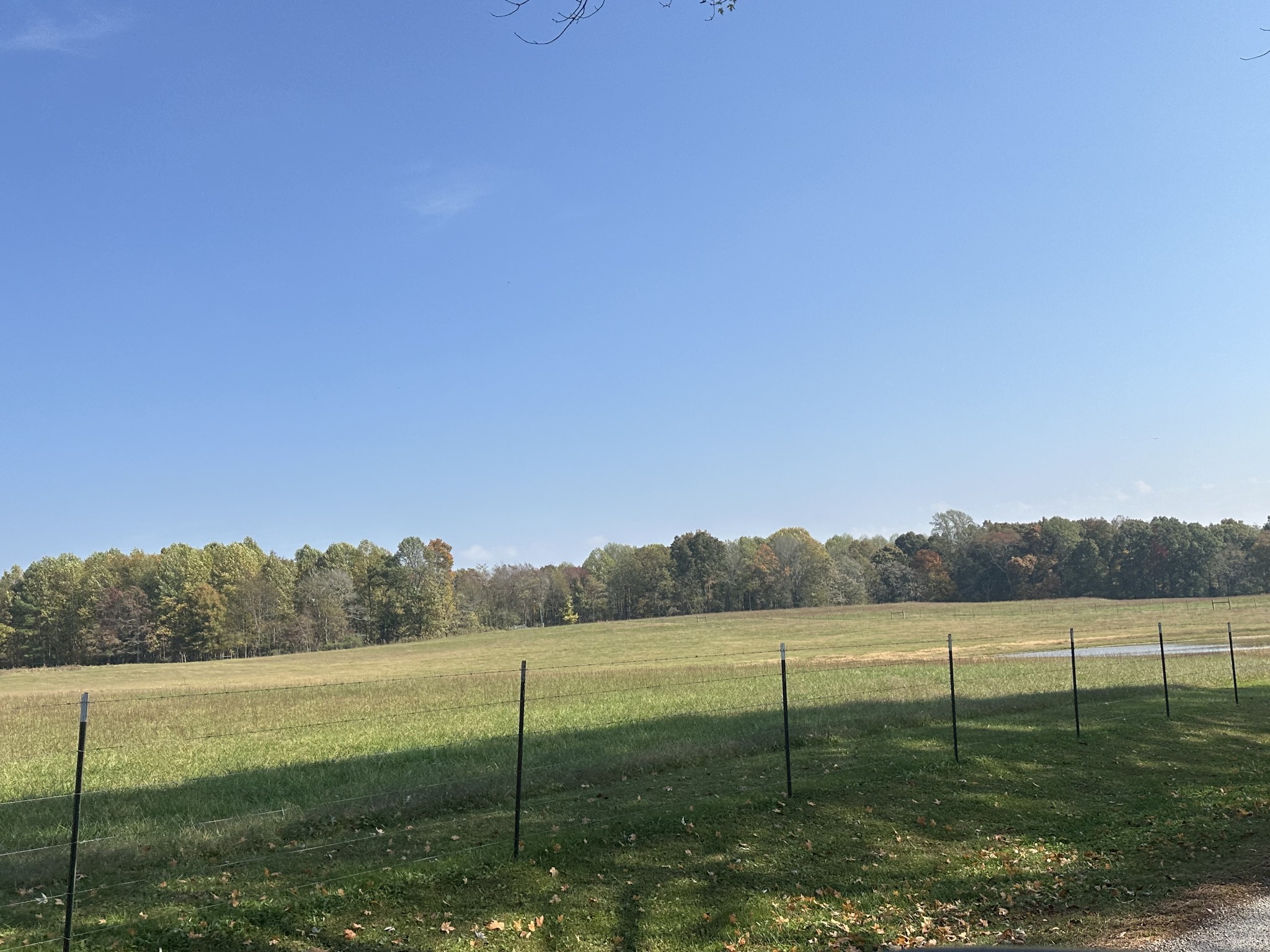 a view of a lake with a yard