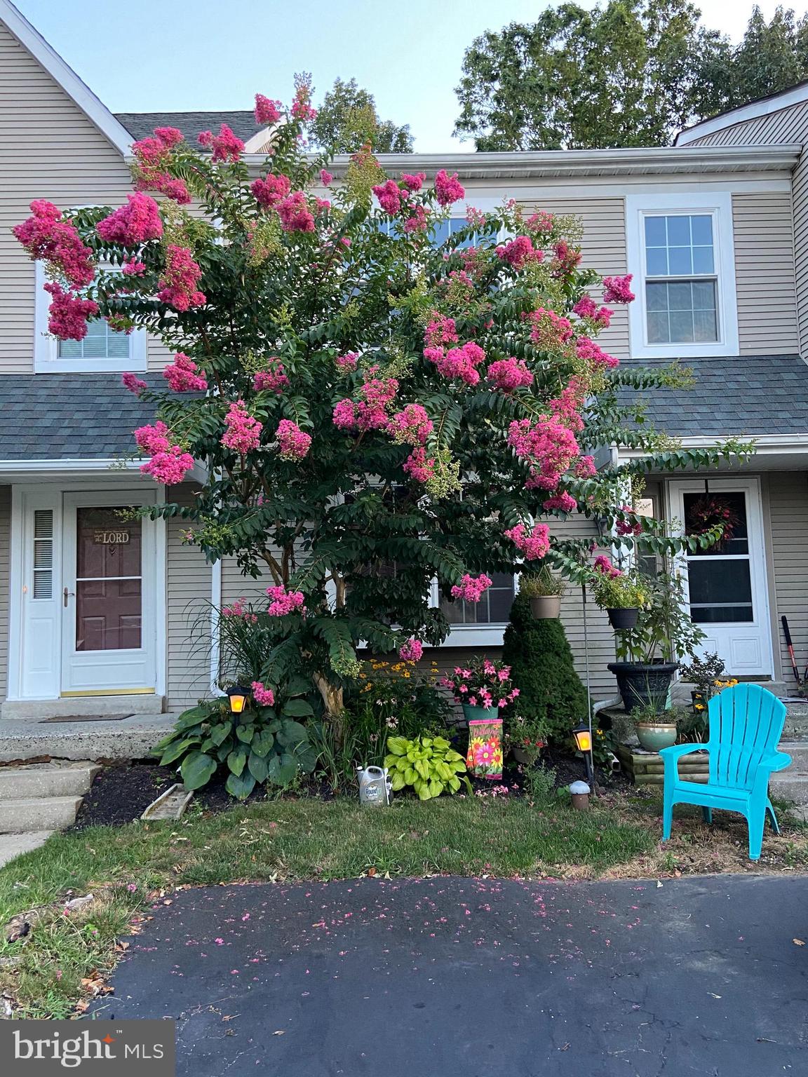 a view of a house that has a lot of flower plants and a chair