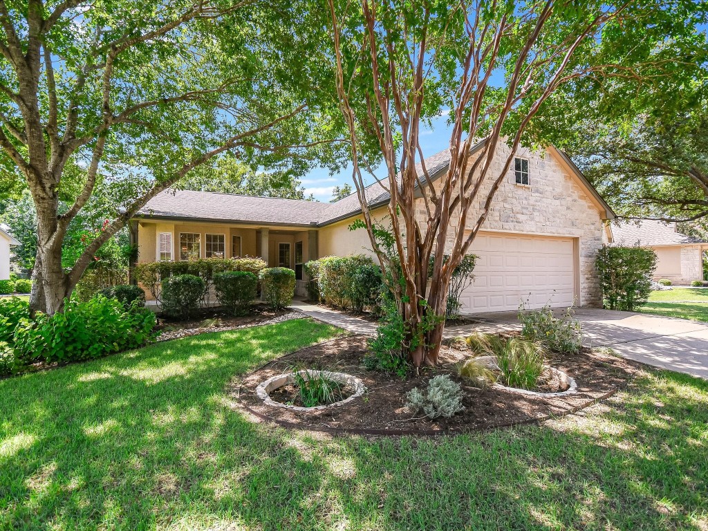 a backyard of a house with plants and large tree