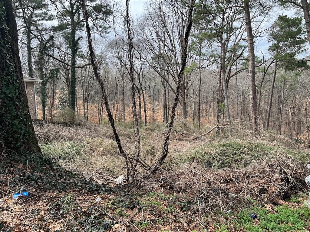 a view of a yard with large trees