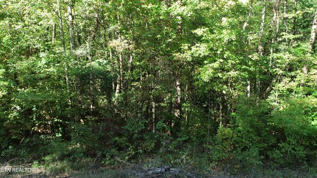 $75,000 | Goose Creek Road | Forest Delight