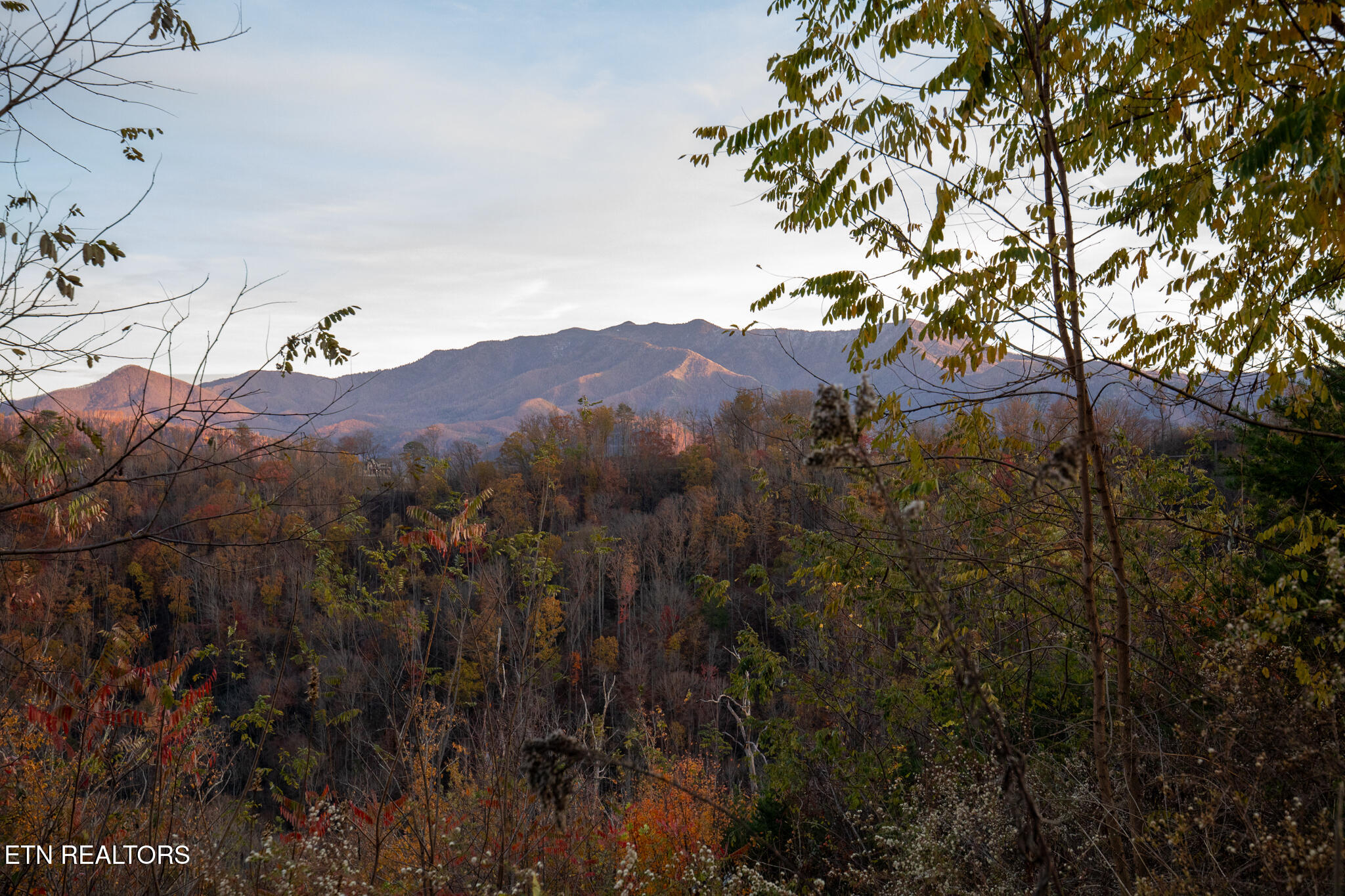 851 Sourwood Dr- Gatlinburg-15