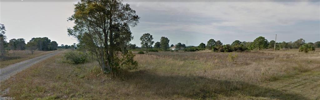 a view of a field with trees in background