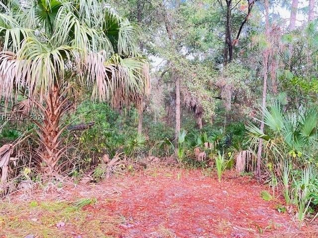 $75,000 | 10 Ocean Marsh Court | Harbor Island